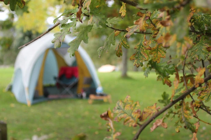 Laleham Camping Club